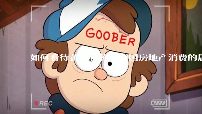 如何看待黄奇帆称「中国房地产消费的居民负债占家庭收入比重达 137.9% ，需调整抑制消费政策」？