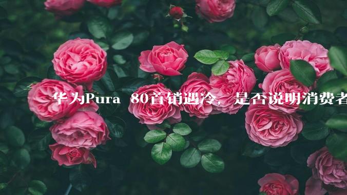 华为Pura 80首销遇冷，是否说明消费者已经开始对麒麟芯片性能有所觉醒？